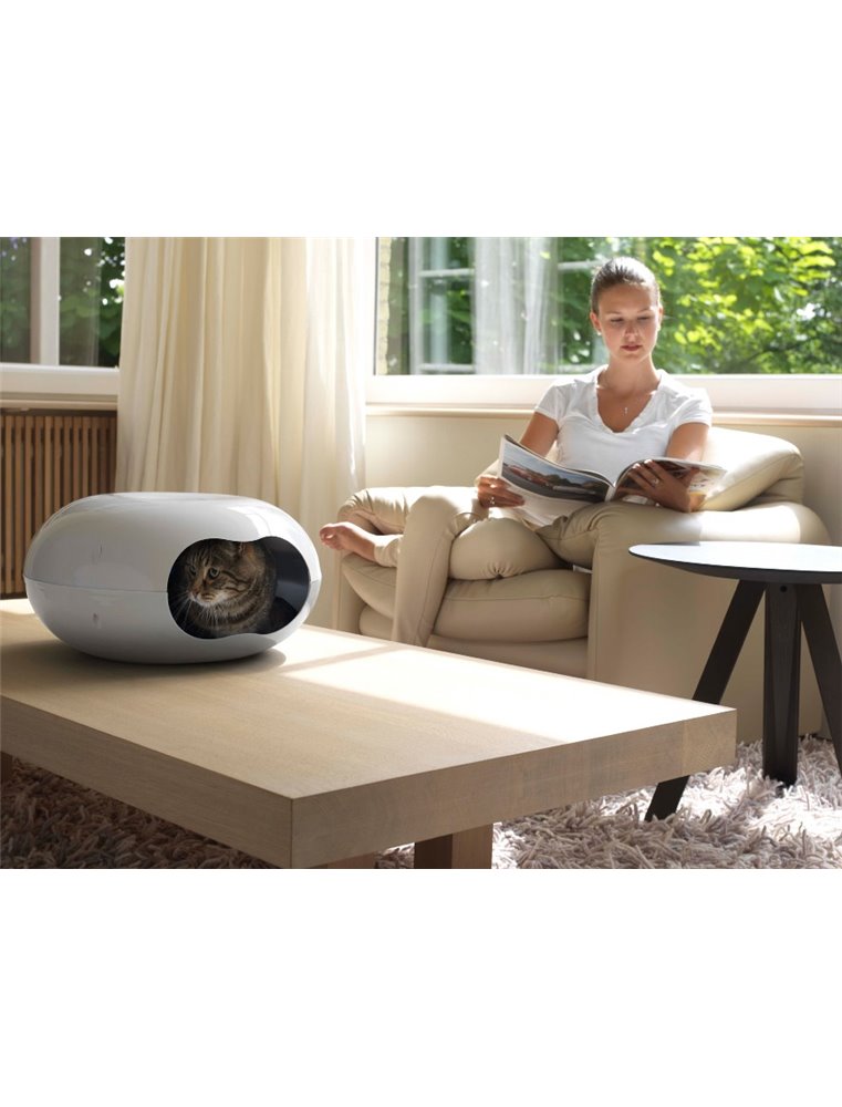 Cat home doonut