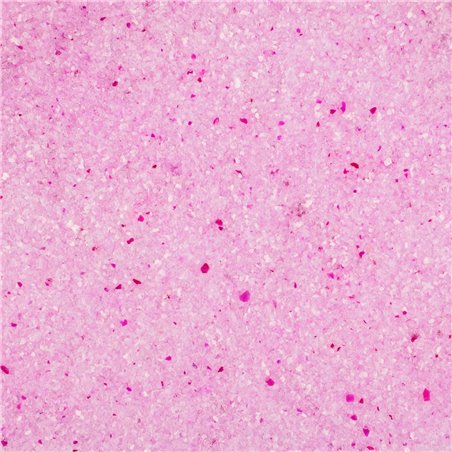 Kattenbakv. silica fijn klont. 5l 