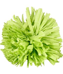 Ps pompon oranje/groen ass