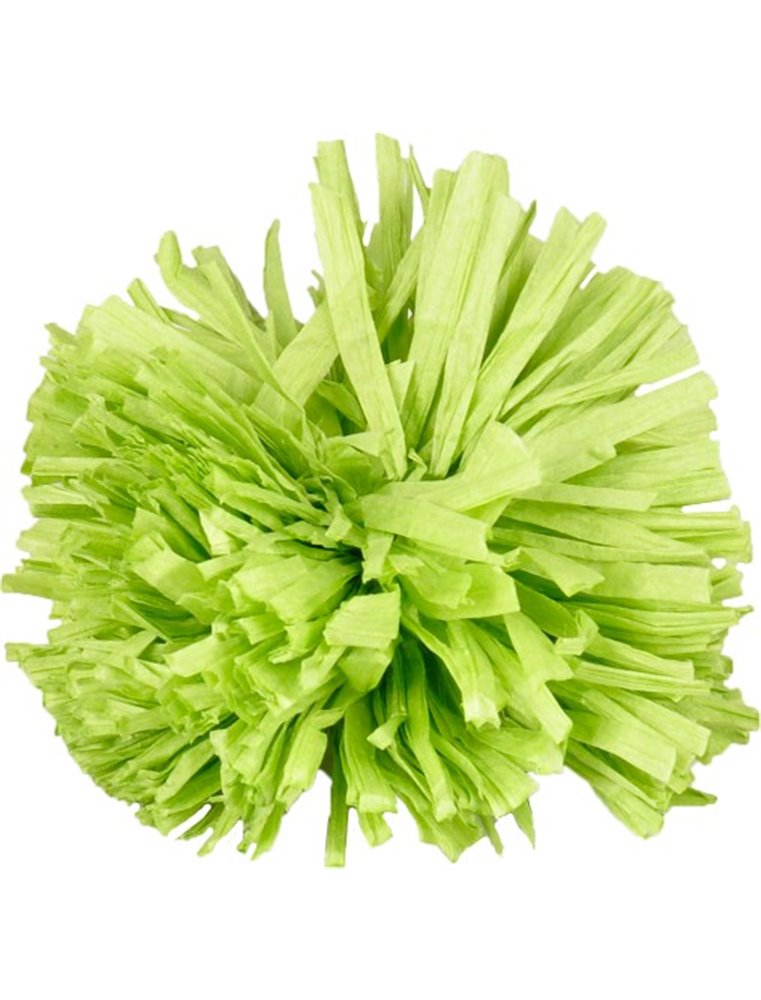 Ps pompon oranje/groen ass