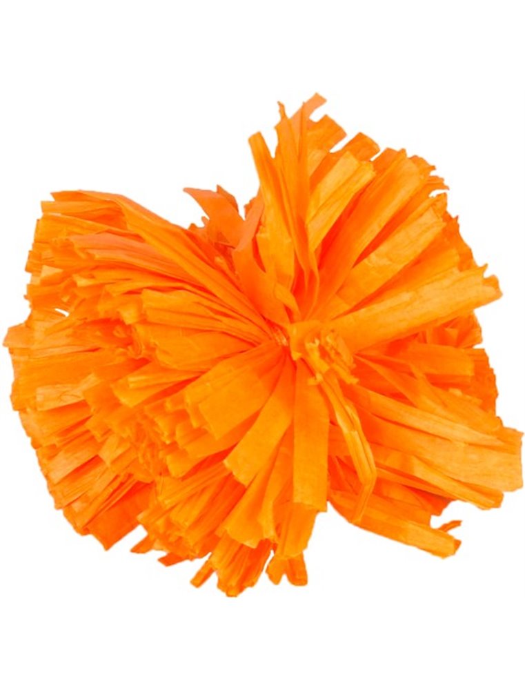 Ps pompon oranje/groen ass