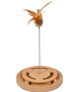 Kitty brain train met veer