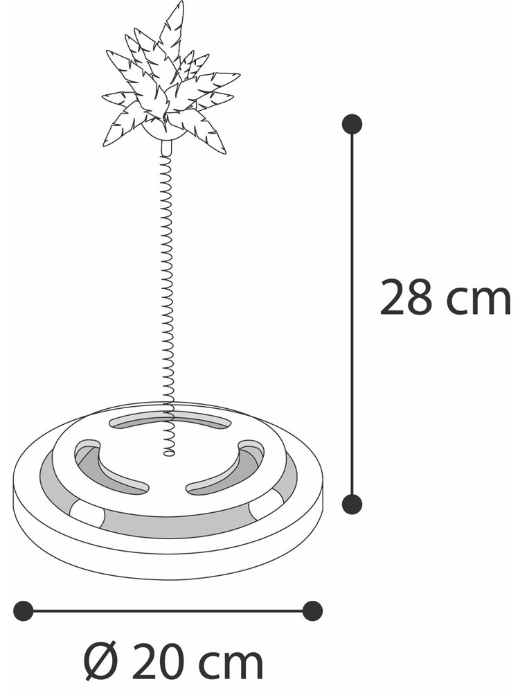 Kitty brain train met veer