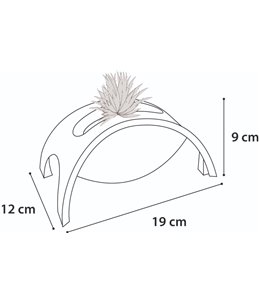 Ps roller crazy bridge