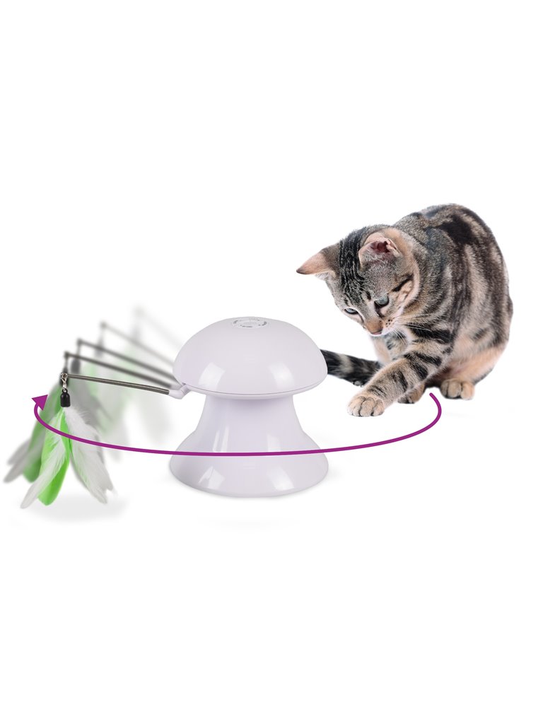 Laserspeelgoed met veren 2in1