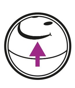 Ps wobbler flashing ball dis bl/ge4