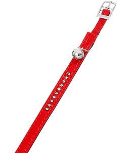 Alp halsb monte c. rood 30cm11mm