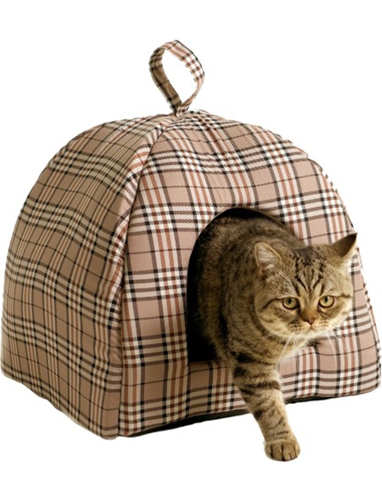 Katteniglo english style