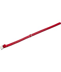 Alp halsband monte carlo rood 27cm14mm s/m
