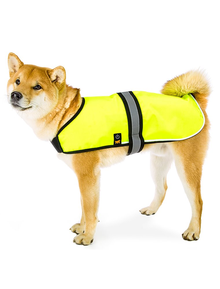 RADIUS 40 M COAT LED