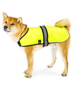 RADIUS 50 L COAT LED