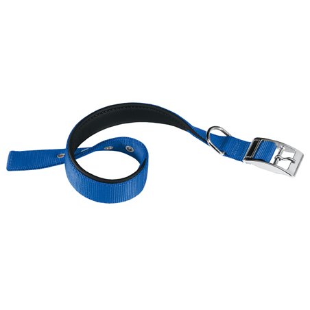 Ferplast halsband daytona nylon blauw a:35-43cm en b:20mm
