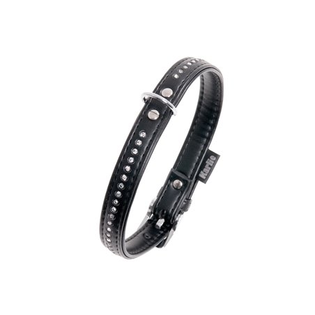 Alp halsband monte carlo zwart 21cm11mm xs/s