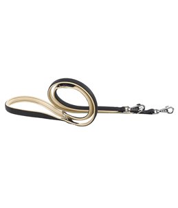 Ferplast hondenriem / leiband daytona nylon zwart 200cm x 20mm