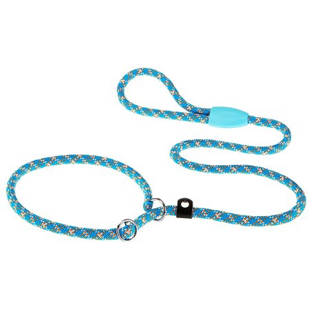 Ferplast hondenriem / leiband / slipriem sport nylon - 170cm x 13mm