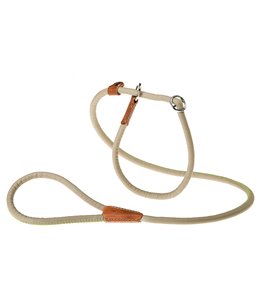 Ferplast hondenriem / leiband / slipriem derby grijs - 170cm x 12mm