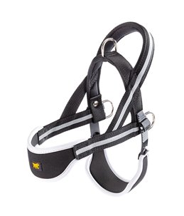 ERGOCOMFORT NORDIC 1