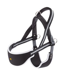 ERGOCOMFORT NORDIC 3