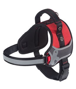 HERCULES P MEDIUM TUIG ROOD