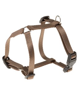 CHAMPION P EXTRA SMALL BRUIN