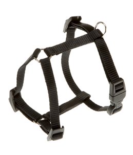 CHAMPION TUIG XS ZWART