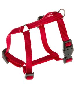 CHAMPION TUIG XS ROOD