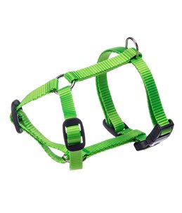 CHAMPION TUIG XS GROEN