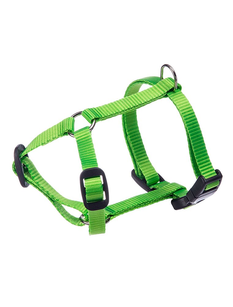 CHAMPION TUIG XS GROEN