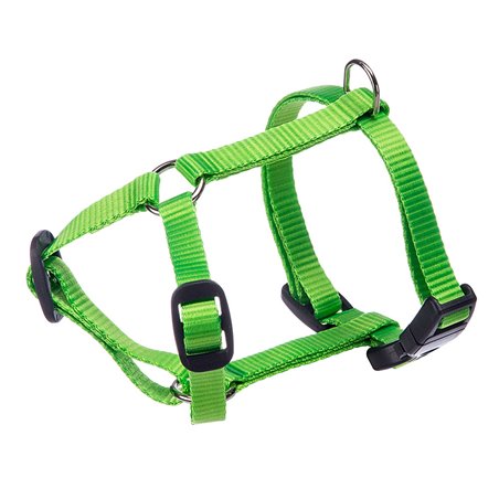 Champion tuig xs groen