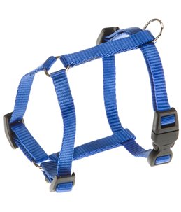 CHAMPION TUIG XS BLAUW