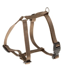 CHAMPION P SMALL BRUIN