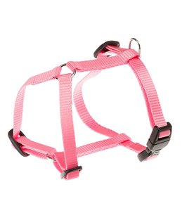 CHAMPION TUIG S ROSE