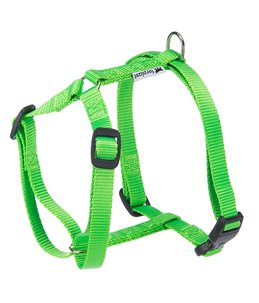 CHAMPION TUIG M GROEN