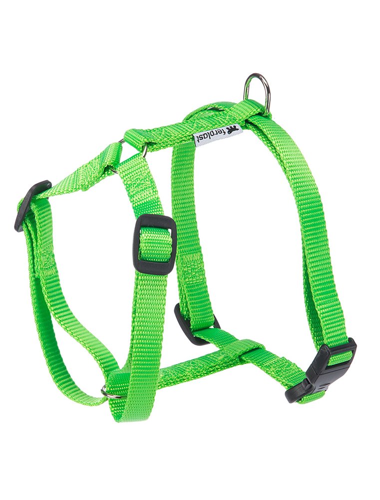 CHAMPION TUIG M GROEN