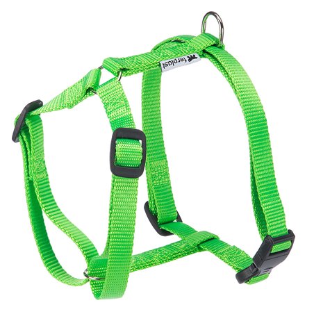 Champion tuig m groen