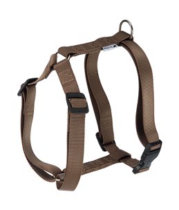 CHAMPION TUIG XL BRUIN