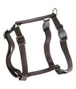 CHAMPION TUIG XXL ZWART