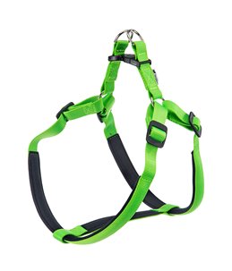 DAYTONA TUIG XL GROEN