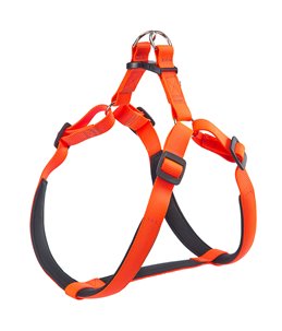 DAYTONA TUIG XL ORANJE