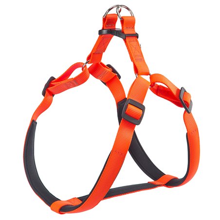 Daytona tuig xl oranje