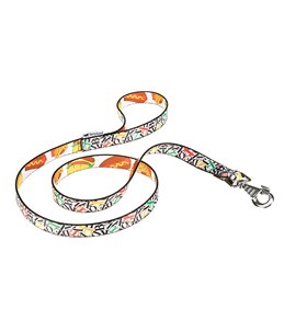 Ferplast hondenriem / leiband arlecchino - 120cm x 15mm