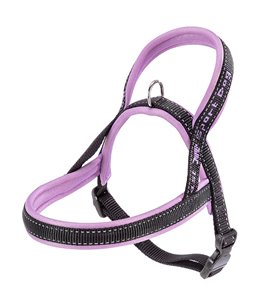 SPORT DOG P XSMALL LILA