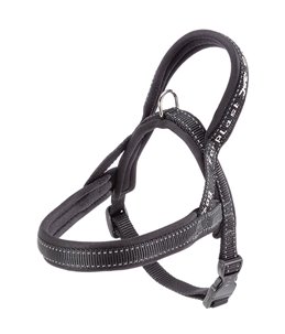 SPORT DOG P XSMALL GRIJS