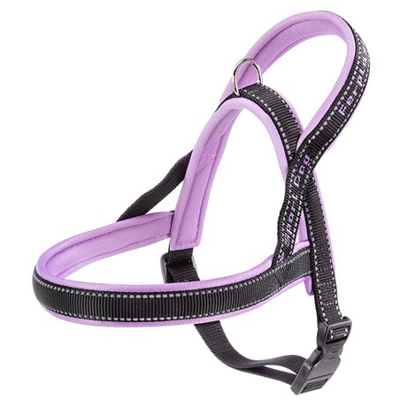 Sport dog p small lila