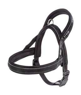 SPORT DOG P SMALL GRIJS