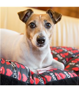 RELAX 45 BONT/KATOEN MIX