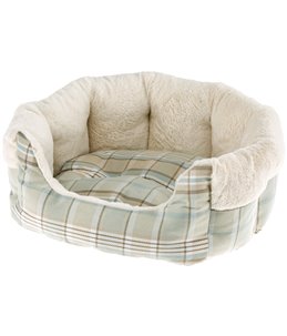 ETOILE 6 GROEN
