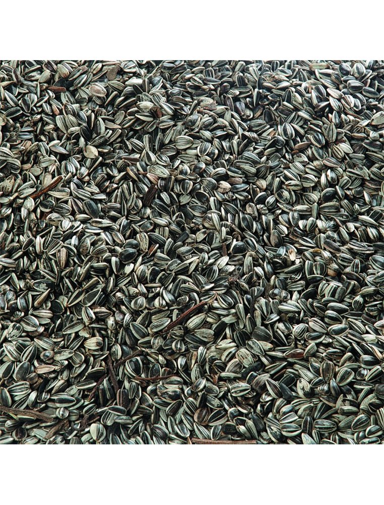 Zonnebloempitten 0,7 kg