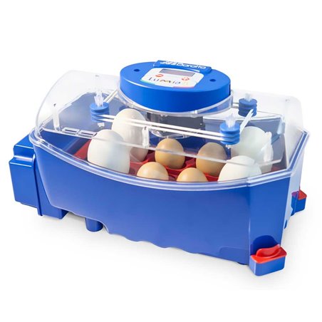 Borotto lumia 8 broedmachine 