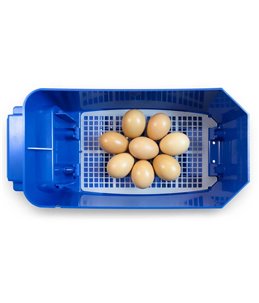 Borotto lumia 8 broedmachine